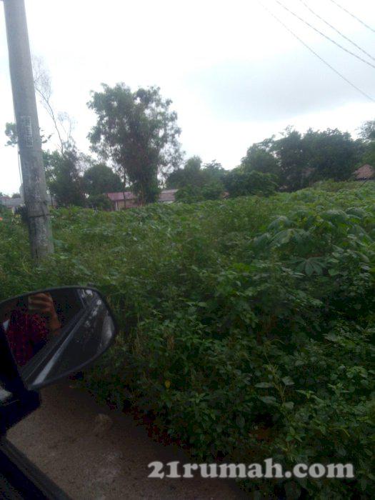 Lahan kontrakan sangat padat penduduk 