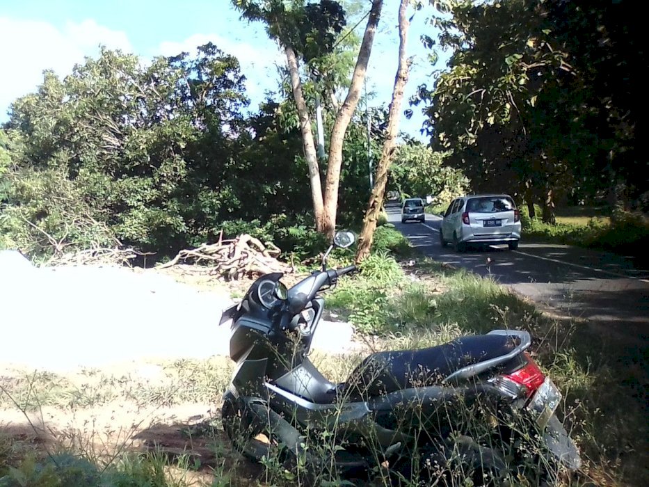 Tanah termurah lokasi antara UTM & Suramadu
