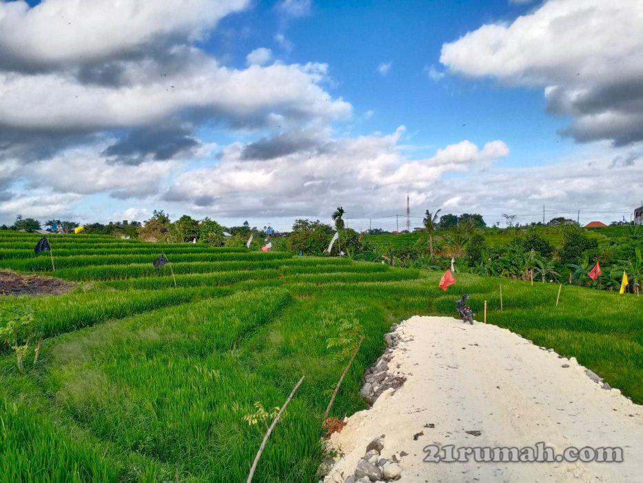 Tanah kavling kawasan canggu jln.sempol