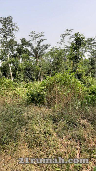 Dijual tanah murah startegis investasi