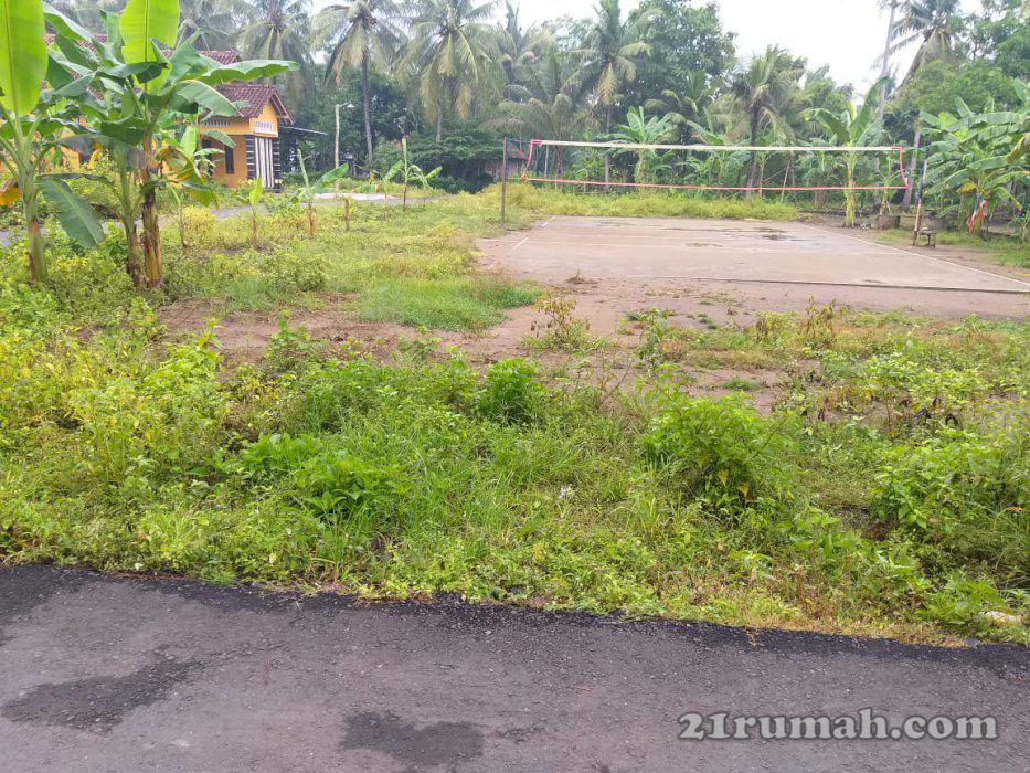 Di jual tanah murah tanpa perantara