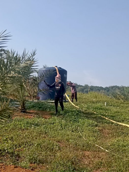 JUAL KAVLING PAKET KEBUN + TERNAK 