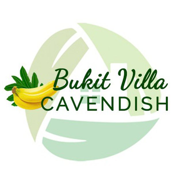 KAVLING MURAH BANYAK UNTUNG