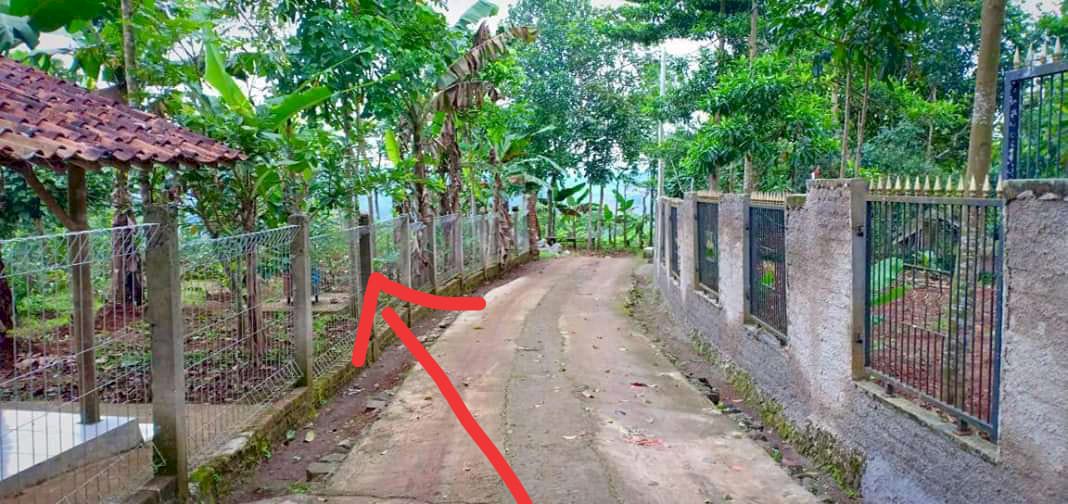 Jual cepat BU tanah produktif perkebunan di Parung kuda