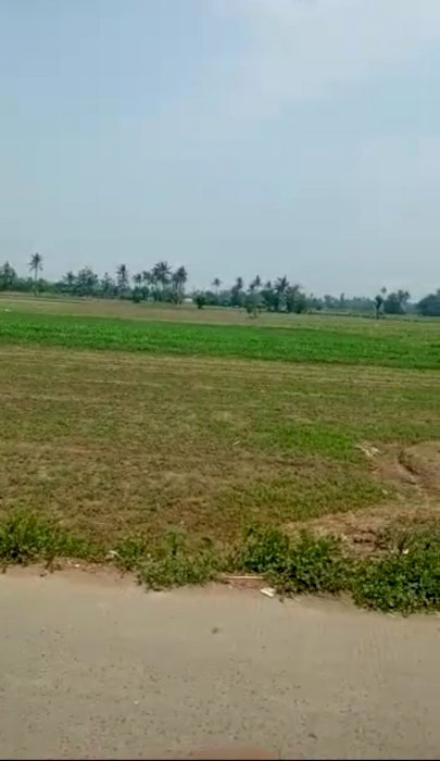 Dijual Tanah 3 Hektar di Sepatan Timur TNG