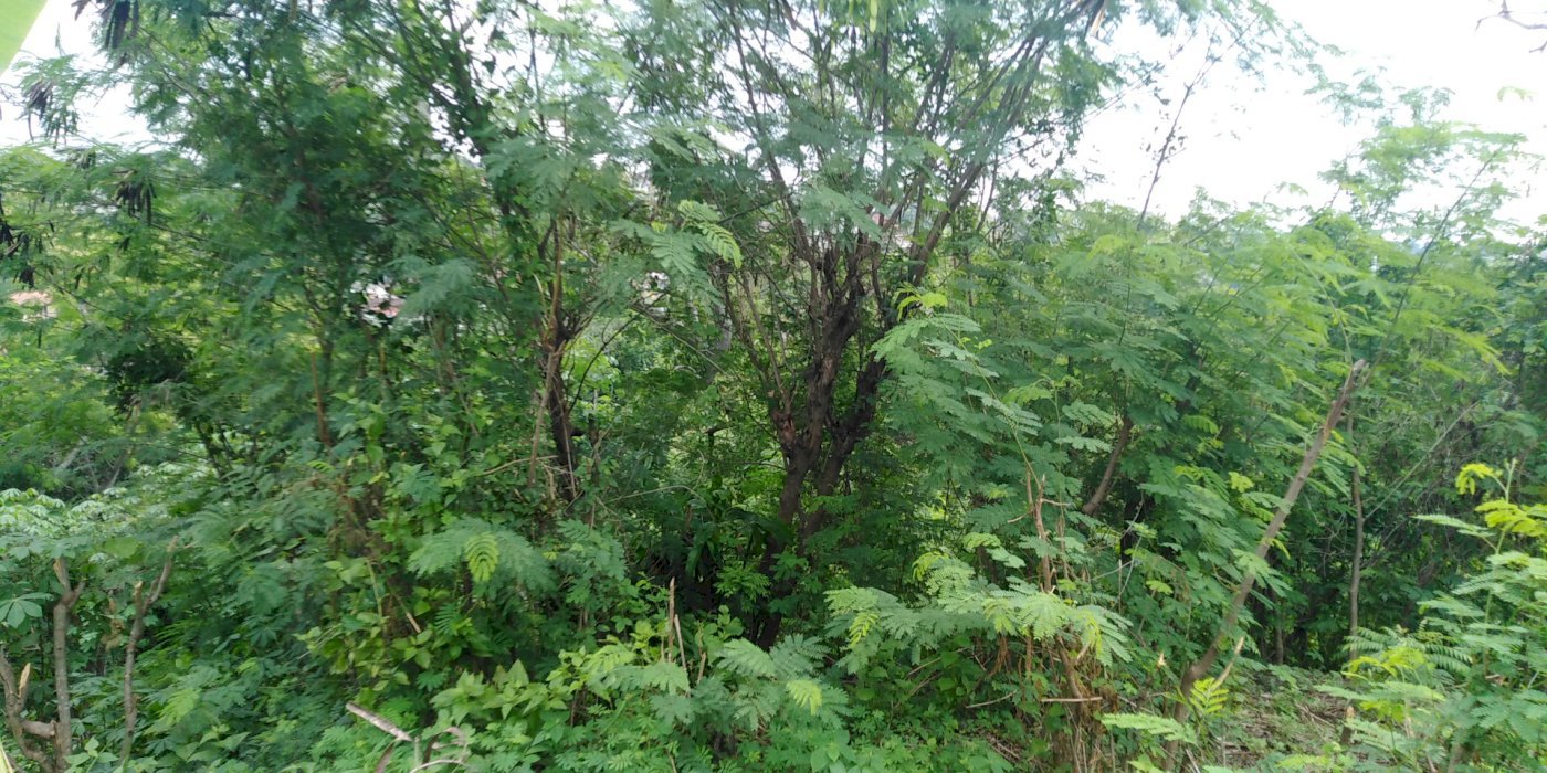 Tanah di area semarang atas