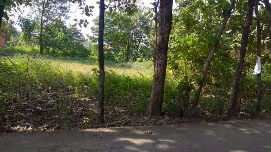Dijual tanah pekarangan murah dekat kota solo