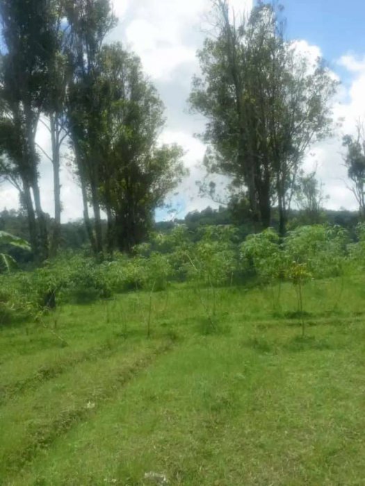 Dijual tanah pekarangan lokasi tawangmangu