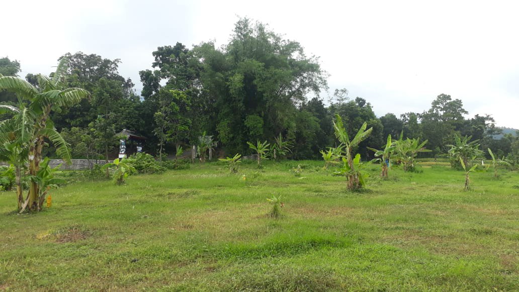 Dijual tanah di Dusun Sido Katut , Desa Ketan Ireng