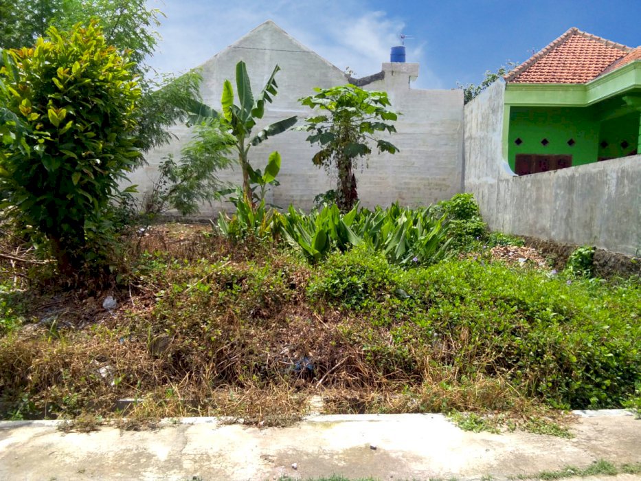 Tanah di lokasi pemukiman yang asri dan nyaman