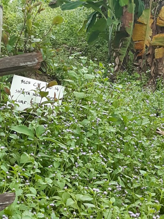 Tanah 500mÂ² di jonggol village. Bisa diperuntukan villa. Sudah sertifikat.