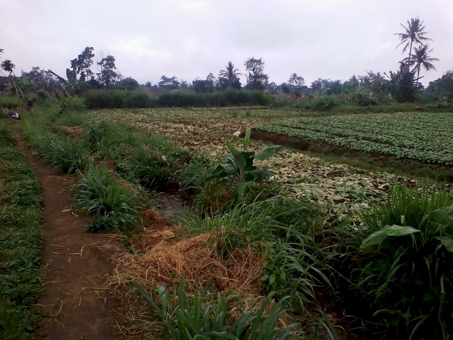 Tanah dijual Deket POM BENSIN Cirumput, Sukabumi