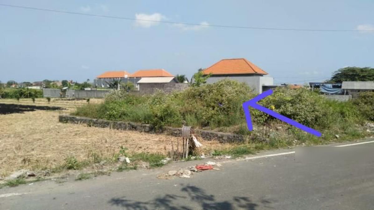 Tanah Kavling 2 Are di Subak Daksina Tibubeneng Canggu,