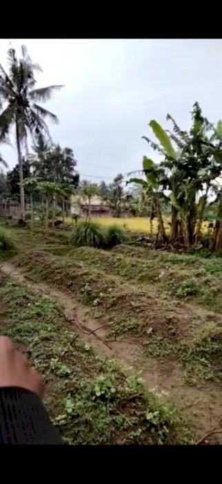 Rumah didesa wisata harga murah