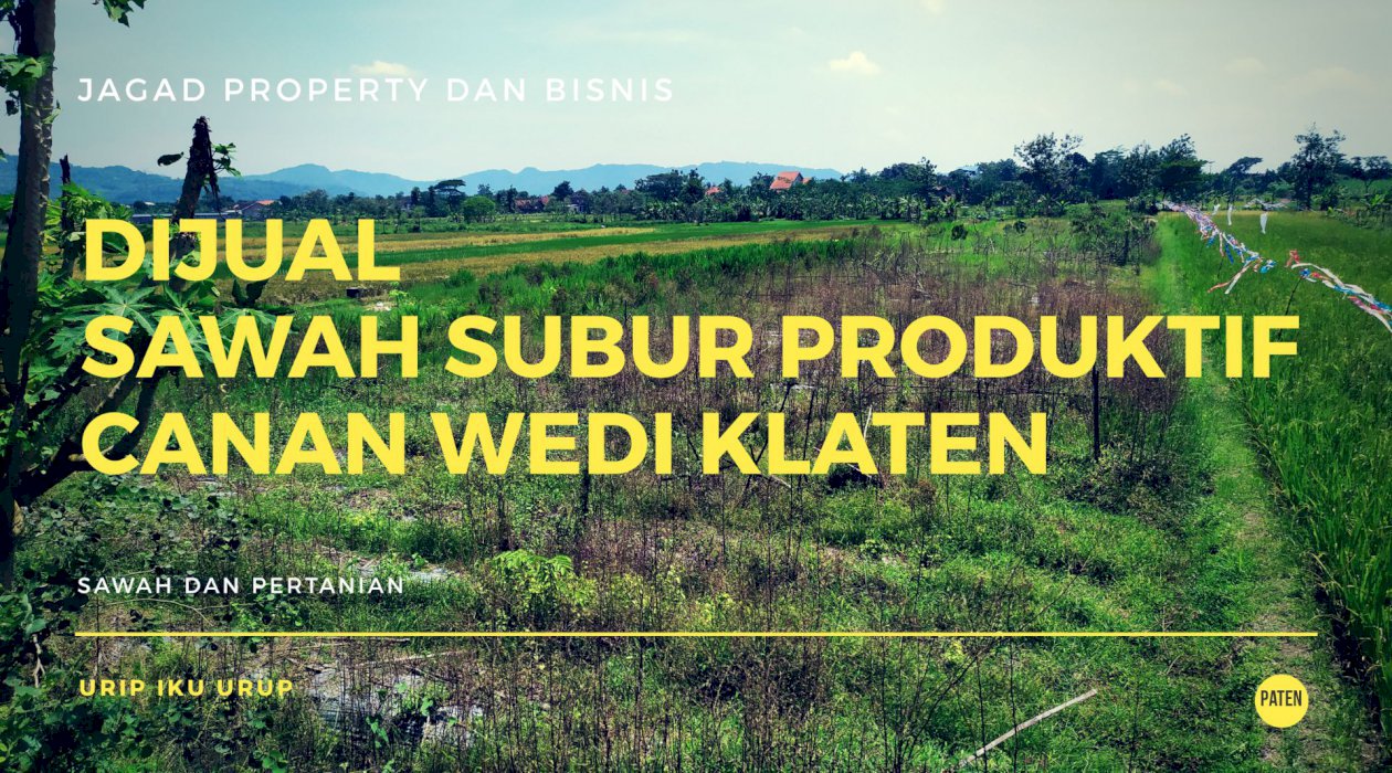 Dijual Sawah Produktif Lahan Subur Canan Wedi Klaten