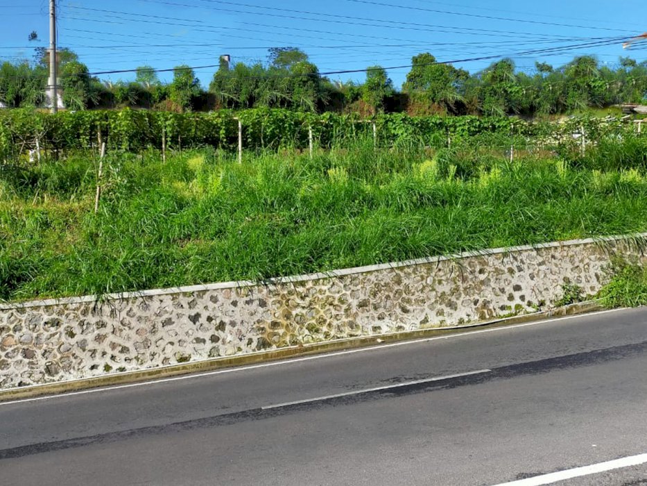 Tanah di pinggir jalan raya yang strategis