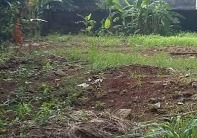 Dijual tanah Cinere jl. Erha Limo murah
