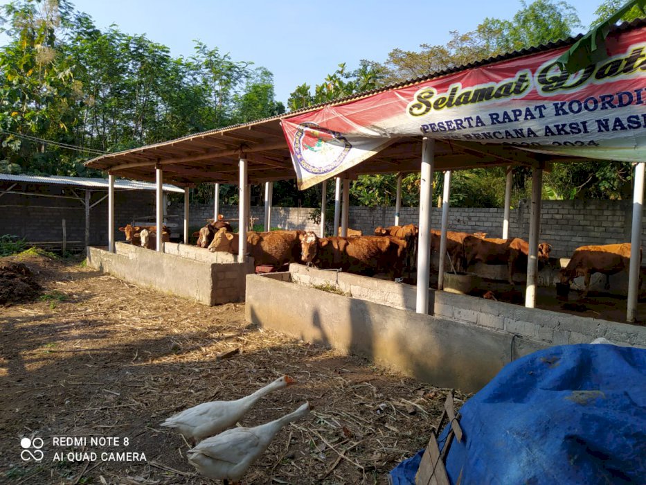 Jual Tanah / Lahan Kandang Sapi . Muat 20 ekor sapi