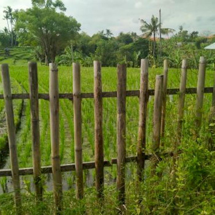 Tanah Cantik Murah view Sawah