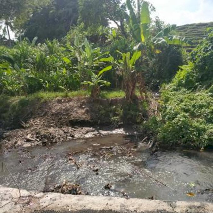 Tanah Kecil dekat Canggu View Sawah dan Sungai Murah