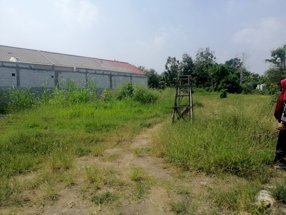 Tanah murah  di Mboteng Menganti Gresik