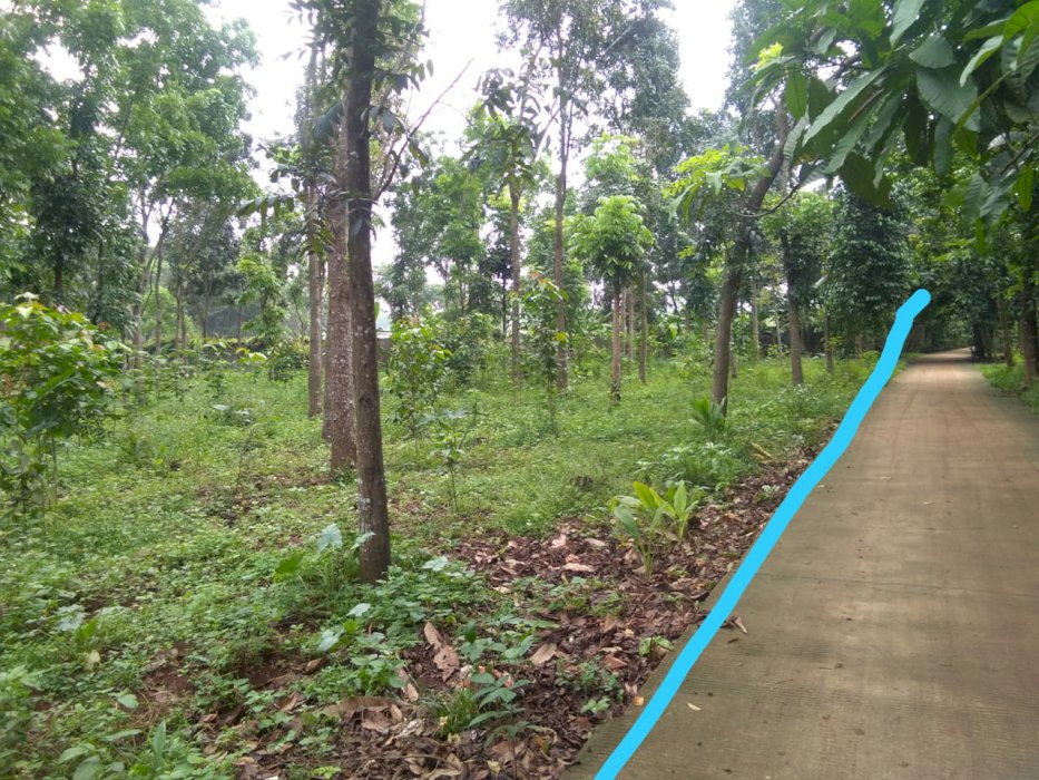  TANAH KEBON MAHONI  DI Kp. LUBANG BUAYA SETU BEKASI .