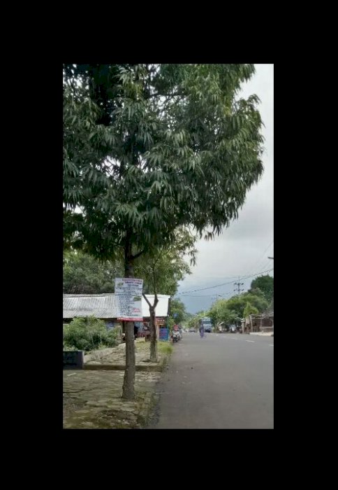 Tanah Setrategis Jogorogo-Ngawi