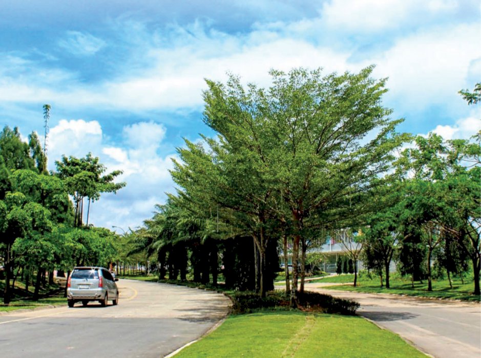 Kavling Tanah Premium di Komplek Citra Grand City Kota Palembang