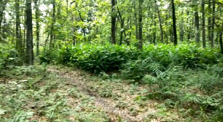 Tanah luas kedunggalar - Ngawi