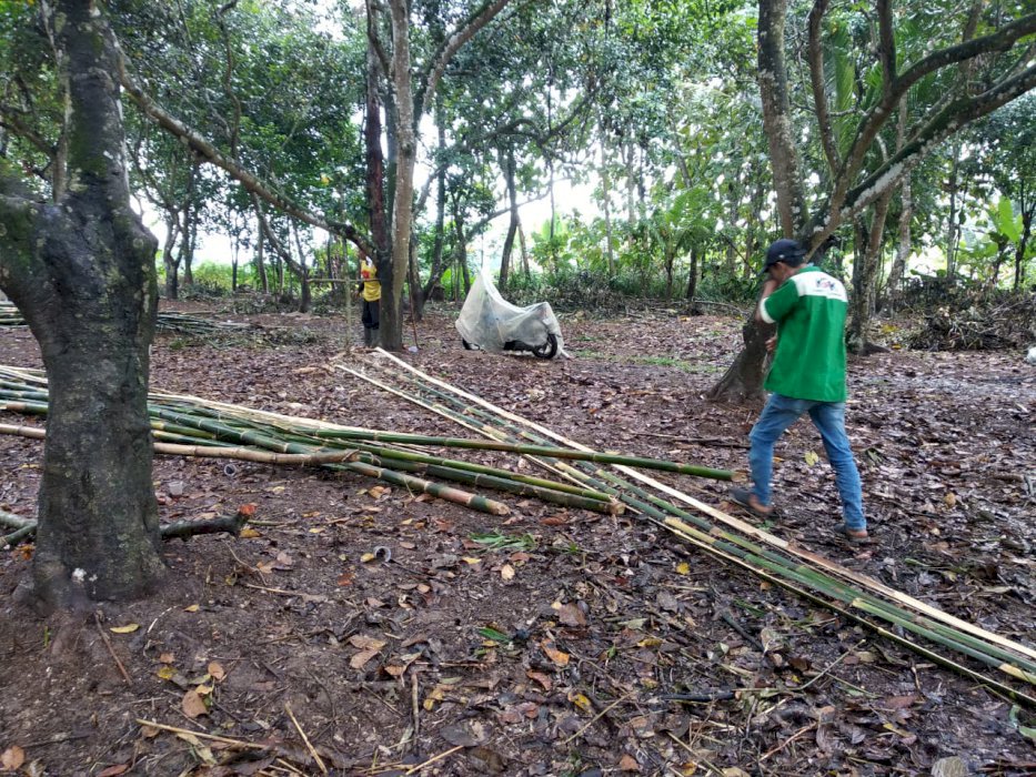 Tanah kebon Rambutan Parakan