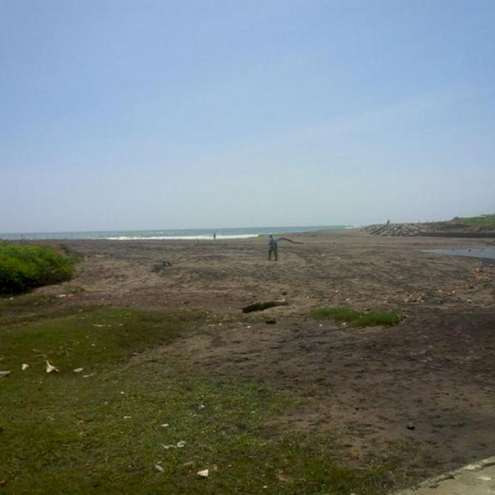 Absolutly Echo Beach Front