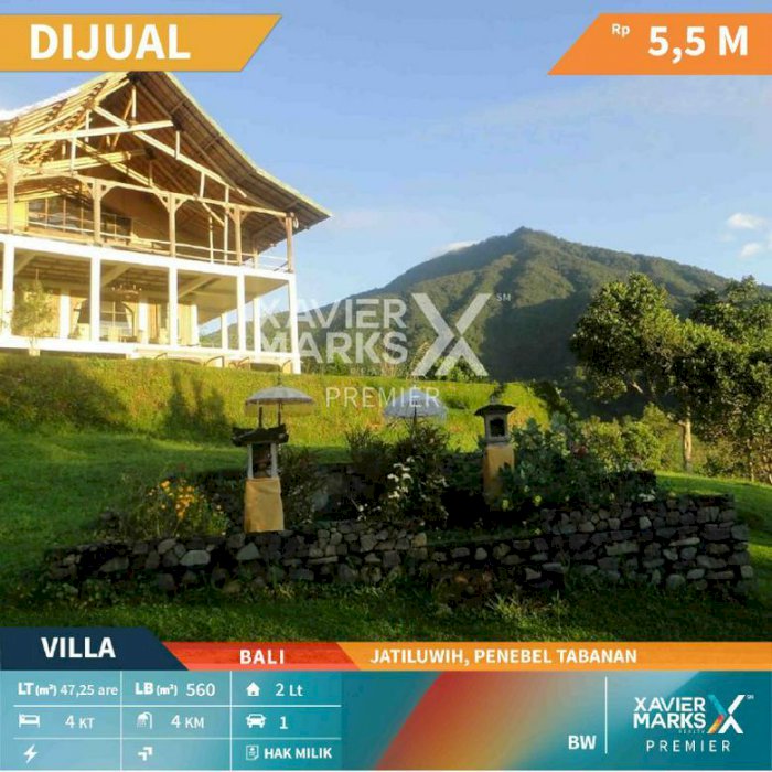 Rumah Villa di Jatiluwih Penebel Tabanan Bali Hunian Nyaman dan Asri