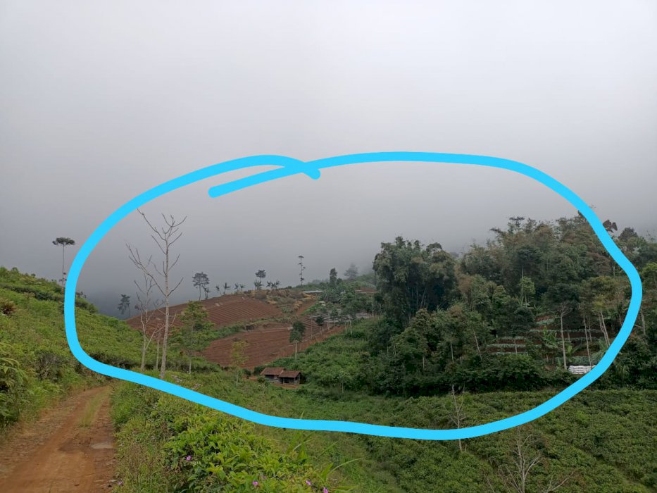 Dijual Murah Tanah Lokasi Di  Lem ah Sugih Cipasung Majalengka Jawa Barat