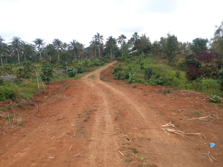 Dijual tanah murah surat SHM