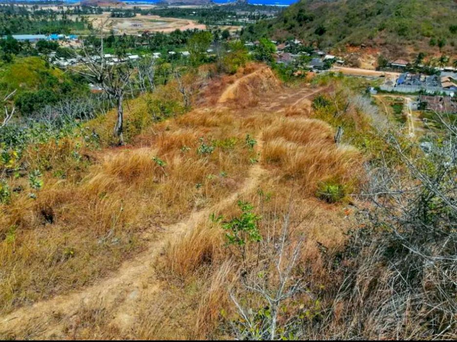 Dijual tanah di Lombok harga murah cocok untk invest