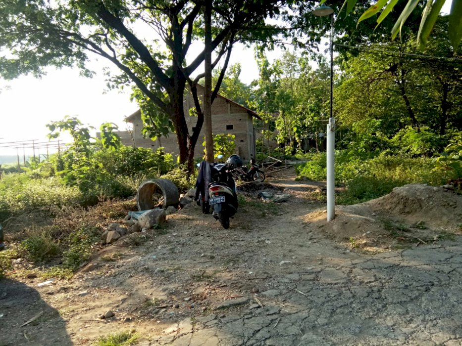 Miliki segera Tanah Murah cocok untuk Investasi