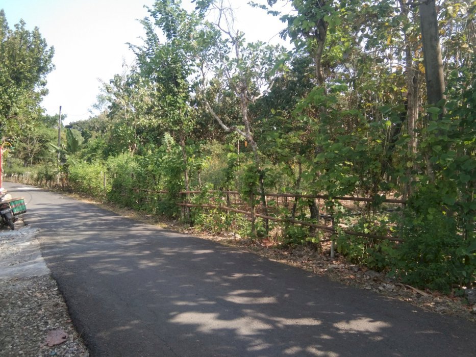 Di Jual Tanah Pekarangan Datar Jln Aspal kawasan kampus UNY GK