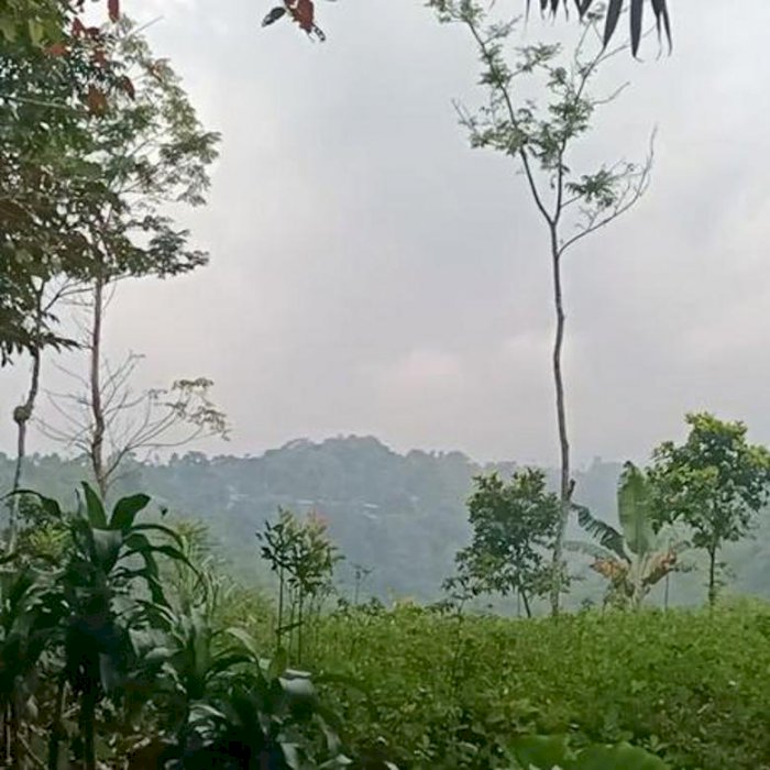 Tanah murah utk bangn rumh huni,villa Cibedug Ciawi bogor hrg 250rb/mÂ²