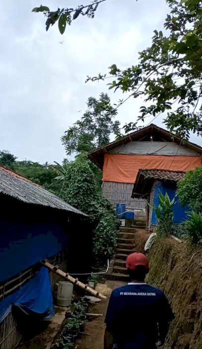 Kandang ayam kapasitas 5000 ekor plus perlengkapan kandang/siap pakai