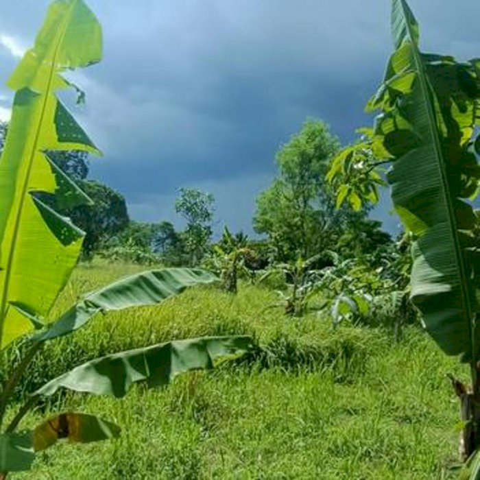 Tanah komersial sertipikat hak milik berdampingan dengan Vimala Hills Bogor view