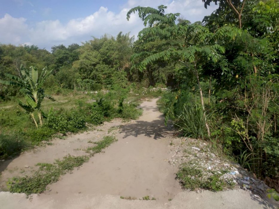 TANAH PEKARANGAN DI TIRTOMARTANI KALASAN SLEMAN DEKAT CANDI PRAMBANAN