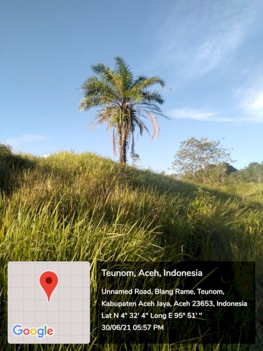 gallery cover