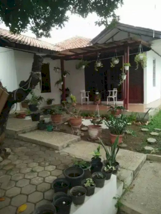 Rumah asri dan tenang nyaman untuk istirahat