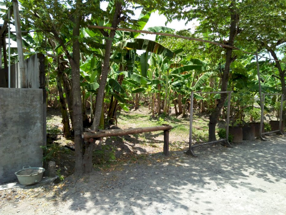 Jual Tanah Siap Bangun Kota Klaten Jateng