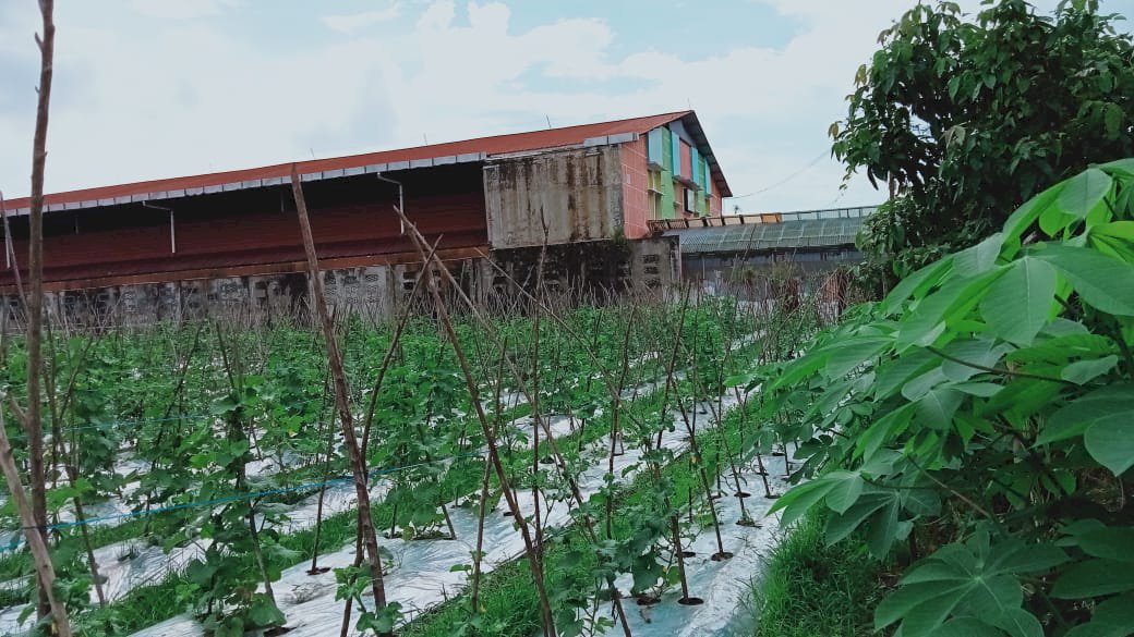 TANAH DI JUAL DI DEKAT KAMPUS UIR PEKANBARU RIAU SELUAS 3147 MÂ²