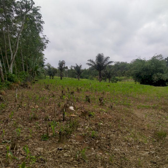 Dijual tanah pinggir jalan