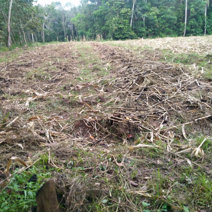 Dijual cepat Tanah Luas