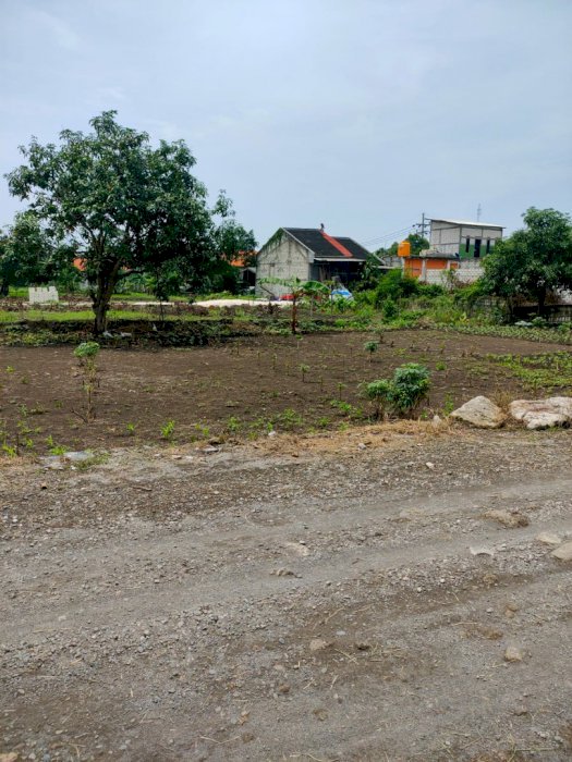 Tanah SHM Desa Kedanyang Gresik