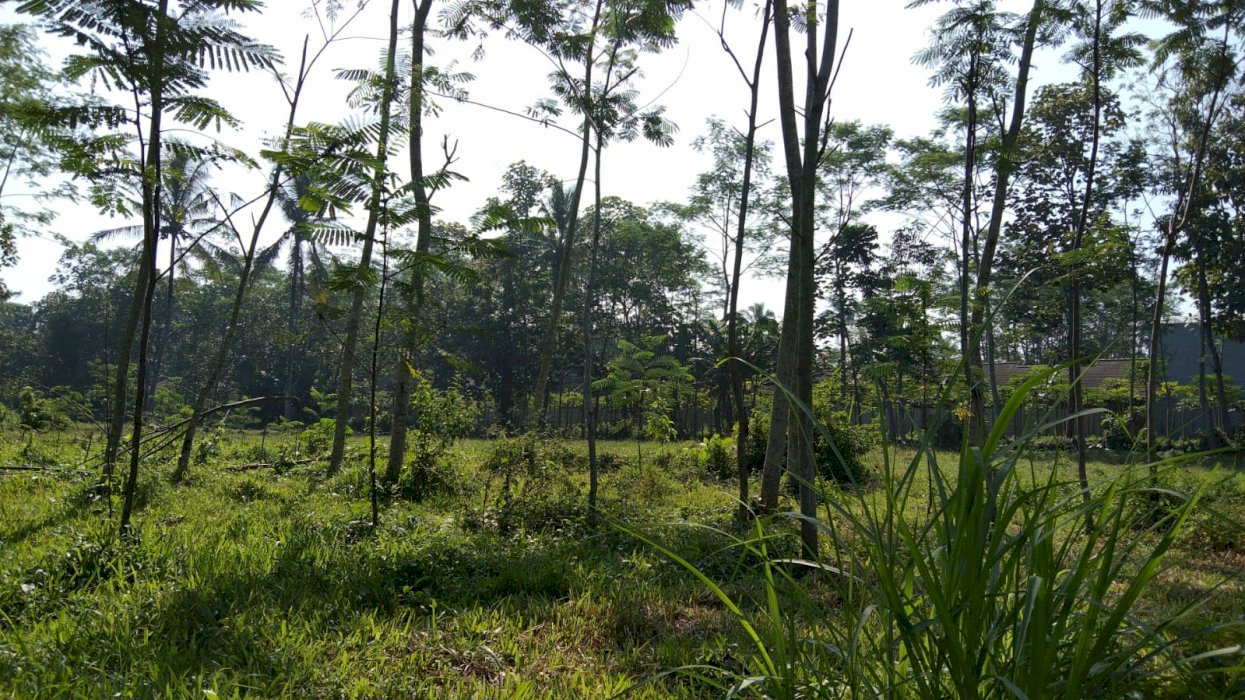 DIJUAL TANAH LOKASI STRATEGIS DI TLOGOWARU MALANG