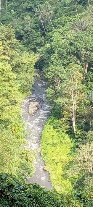 Dijual tanah murah loss sungai dan air terjun